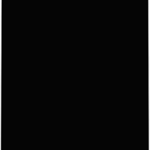 Eccotemp i12 LP 4.0 GPM Indoor Liquid Propane Tankless Water Heater Open Box